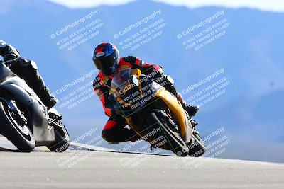 media/Jan-08-2022-SoCal Trackdays (Sat) [[1ec2777125]]/Turn 9 (125pm)/